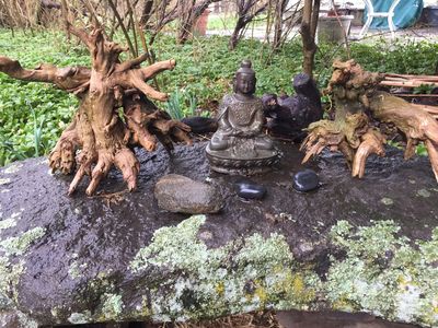 Buddha imaginary beasts 2