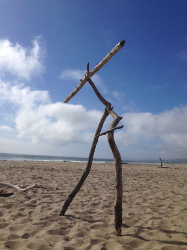 beach walker1 2