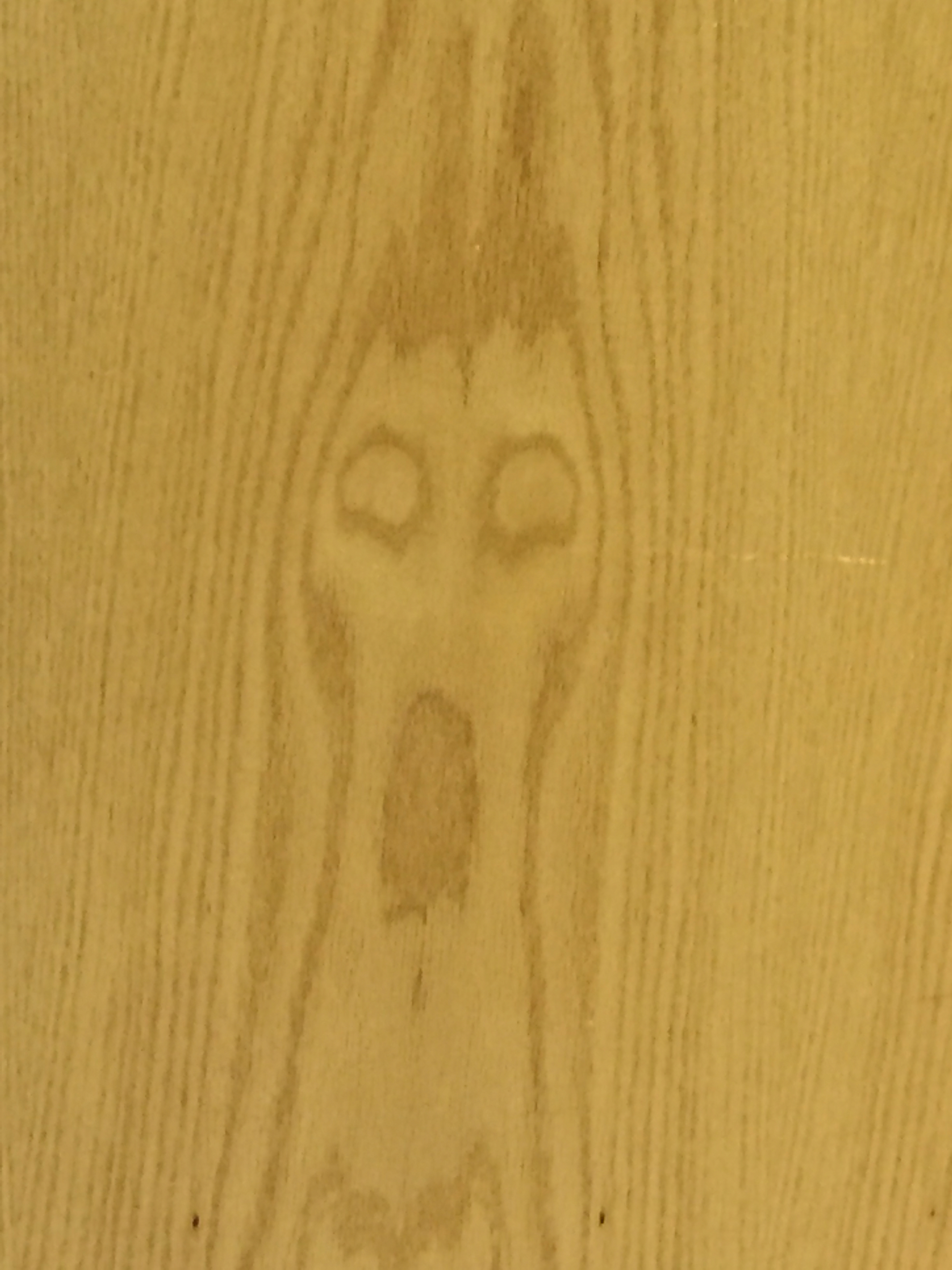 natures scream