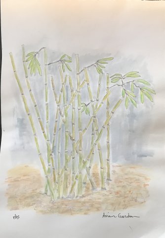 asian garden