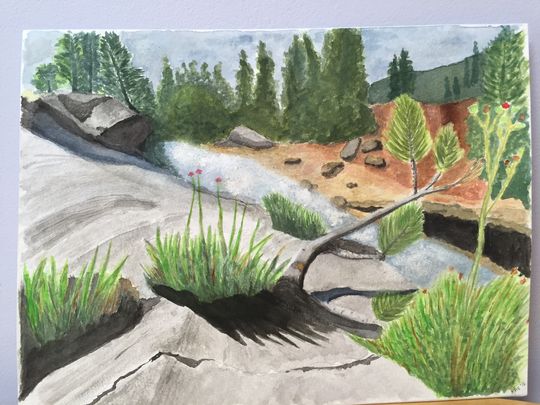 hoosier pass CO