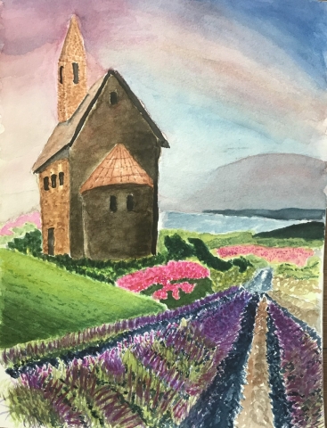 lavender fields