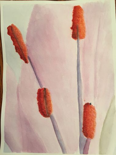 stamens2