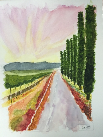 tuscan lane
